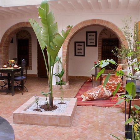 La Maison Berber Shams 마라케시 외부 사진